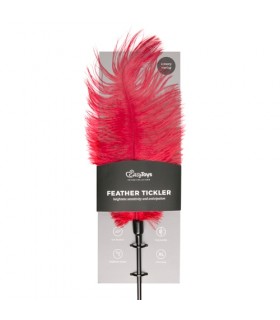 RED FEATHER