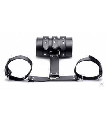 CONTENZIONE CON LE BRACCI POSTERIORI