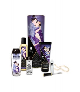 KIT SHUNGA CARNAL PLEASURES COLLECTION