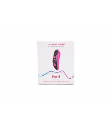 CONFEZIONE DA 10 UNITÀ PANTY VIBRATORE FERRI CON MAGNETE