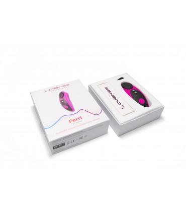 CONFEZIONE DA 10 UNITÀ PANTY VIBRATORE FERRI CON MAGNETE