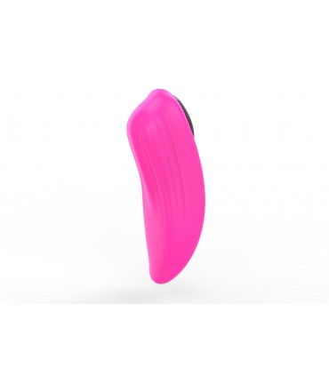 CONFEZIONE DA 10 UNITÀ PANTY VIBRATORE FERRI CON MAGNETE