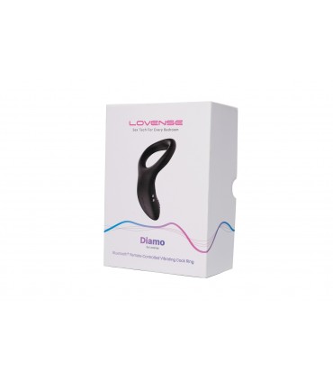 PACKUNG 10 EINHEITEN DIAMO-VIBRATORRING