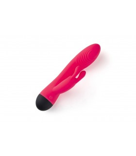 VIBRATEUR RECHARGEABLE ROSE V6