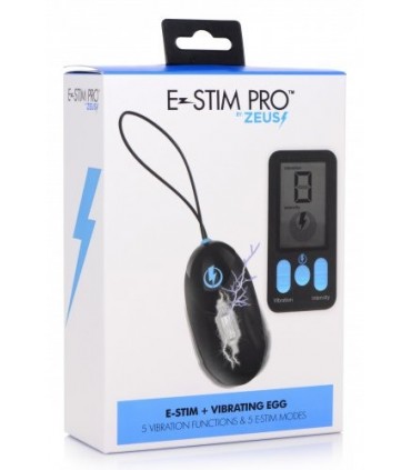 VIBRATEUR EGG ET E-STIM USB AVEC CONTRÔLE NOIR