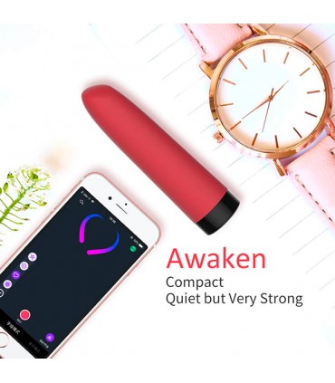 APPLICATION MAGIC MOTION MINI VIBRATOR AWAKEN