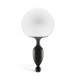 MAGIC MOTION PLUG TAIL BUNNY APP