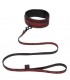 FIFTY SHADES SWEET ANTICIPATION COLLAR & LEAD