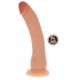 PENE IN SILICONE 21 CM SENZA TESTICOLI IN CARNE