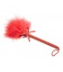DUSTER ROUGE 22 CM