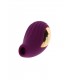 SUCCIONADOR-VIBRADOR DIVINE LOVE MORADO