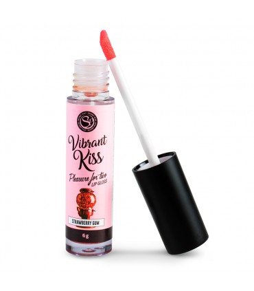 LIP GLOSS VIBRANT KISS GUM