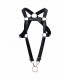 DNGEON ADJUSTABLE BACK HARNESS WITH RING SINGLE T.