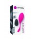 VIBRATOR EGG W/ CONTROL SECRET VIBE 2