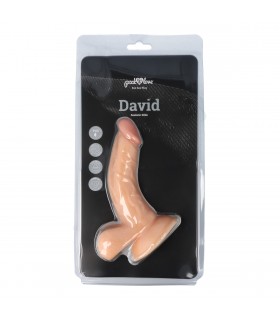 PENE REALÍSTICO DAVID 18 CM