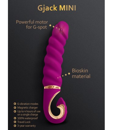 GJACK MINI HIMBEERE