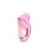 SONA 2 VIAGGIO ROSA