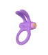 RINY VIBRATING RING W/ LILAC SILICONE USB CONTROLLER