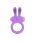 RINY VIBRATING RING W/ LILAC SILICONE USB CONTROLLER