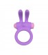 ANELLO VIBRANTE RINY CON CONTROLLER USB IN SILICONE LILLA