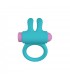 RINY VIBRATING RING W/ BLUE SILICONE USB CONTROLLER