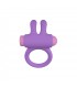 RINY VIBRATING RING W/ LILAC SILICONE USB CONTROLLER