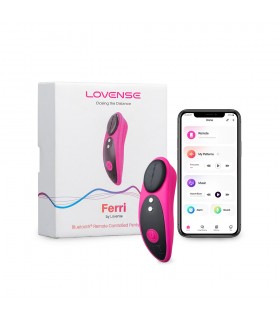 FERRI VIBRATOR PANTY MIT MAGNET PACKUNG 10 EINHEITEN