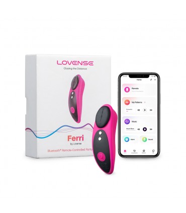 CONFEZIONE DA 10 UNITÀ PANTY VIBRATORE FERRI CON MAGNETE