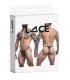 C4M L4ACE TANGA NEGRO L/XL