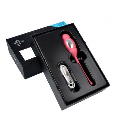 A3 REMOTE CONTROLLED EGG