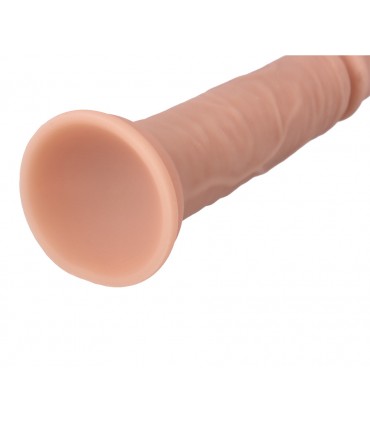 ZWEISCHICHTIGE REALISTISCHE 16'5CM R34