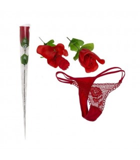 PACK 12 ROSE AVEC STRING ROUGE