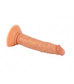 REALISTISCHER PENIS MR RUDE FLESH 20 CM