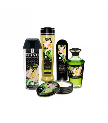 KIT SHUNGA JARDIN D'EDO