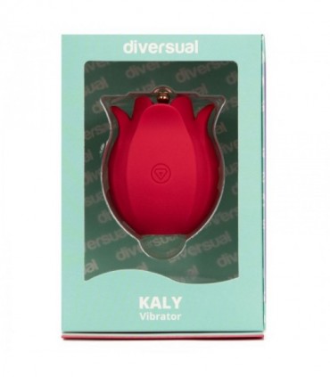 KALY HAUTE PRÉCISION
