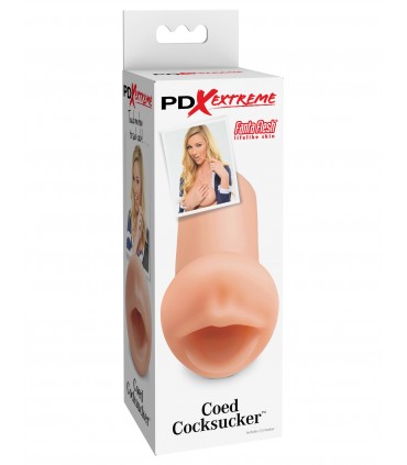 Studentin Schwanzlutscher Licht