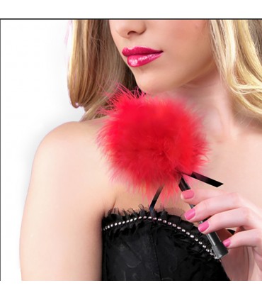 PLUME ROUGE
