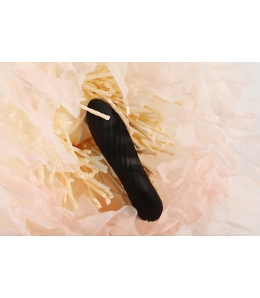 TULIPE NOIRE