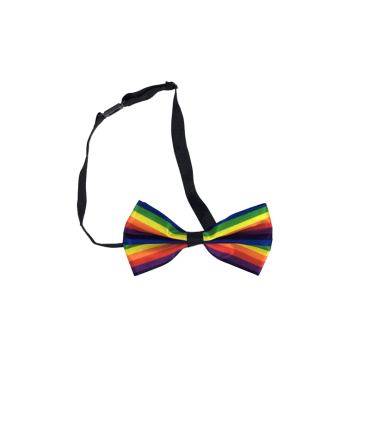 PAJARITA LAZO BANDERA ARCOIRIS