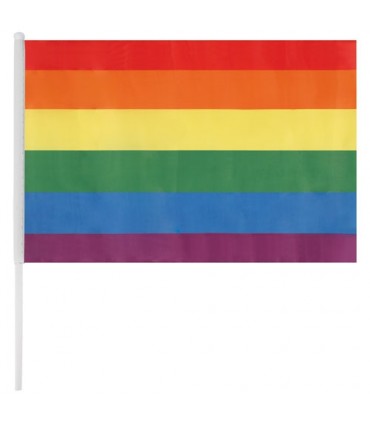 12 PETITS FANIONS 20 X 15 CM DRAPEAU ARC-EN-CIEL