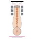 FLESHLIGHT GIRLS JESSICA DRAKE HEAVENLY