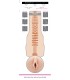 FLESHLIGHT GIRLS MADISON IVY BEYOND