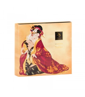 SHUNGA ADVENTSKALENDER WÜNSCHE