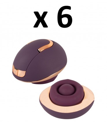 6er-Packung BELOU Rotierender Vulva-Massager