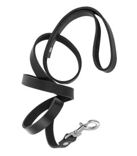 PREMIUM BLACK COLLAR WITH STRAP