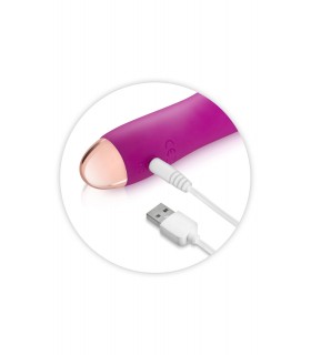 MINI VIBRATEUR RECHARGEABLE EN SILICONE POUR POINT G BIRD ROSE