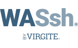 VIRGITE - WASSH